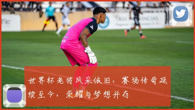 世界杯老将风采依旧，赛场传奇延续至今，荣耀与梦想并存
