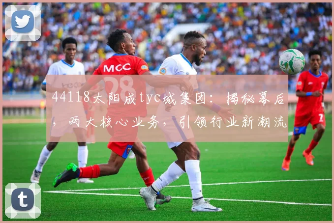 44118太阳成tyc城集团：揭秘幕后，两大核心业务，引领行业新潮流