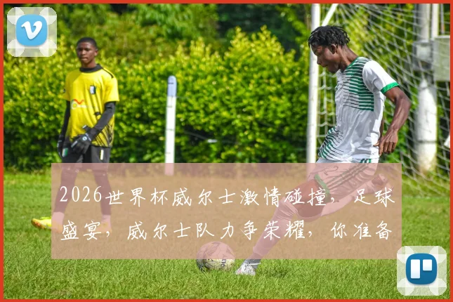 2026世界杯威尔士激情碰撞，足球盛宴，威尔士队力争荣耀，你准备好了吗